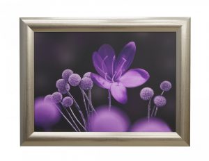 Obraz w drewnianej ramie fioletowe kwiaty stylowy
