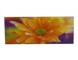 Obraz szklany natura kwiaty margaretki kolorowy masywny dekoracyjny