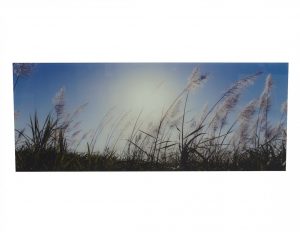 Obraz szklany masywny dekoracja ozdoba słońce pole polana krajobraz natura